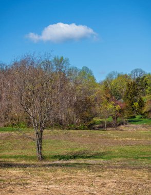 Middletown New Jersey 'deki Deep Cut Gardens' ta huzurlu bir bahar sahnesi.
