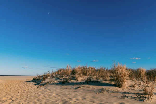 Diep Blauwe Lucht Een Daglicht Maan Boven Zand Duinen Long — Stockfoto