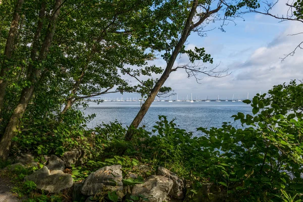 Una Vista Panoramica Incorniciata Della Baia Sandy Hook Dall Henry — Foto Stock