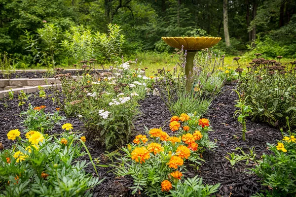 鳥風呂とマリーゴールド付きの夏の庭 — ストック写真