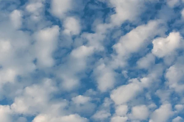 Cirrocumulus Cloud Background Image — Stok Foto