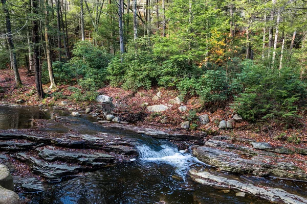 Een Beekje Passeert Overheen Steile Rots Lake Minnewaska State Park — Stockfoto