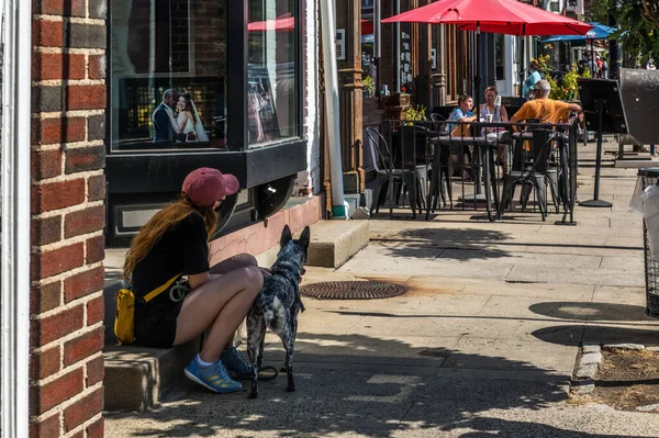 Sueño Nueva York Septiembre Una Niña Perro Descansan Centro Ciudad — Foto de Stock