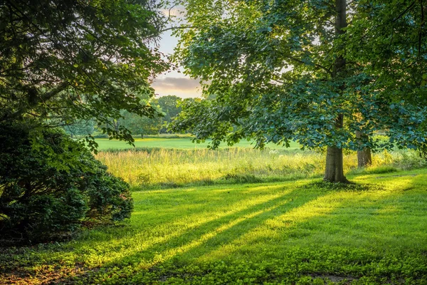 The long Summer shadows and bright greens in Thompson Park in Monmouth County New Jersey.