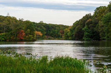 Perrineville Gölü sahne
