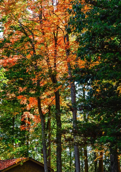 Zářivé barvy podzimu — Stock fotografie