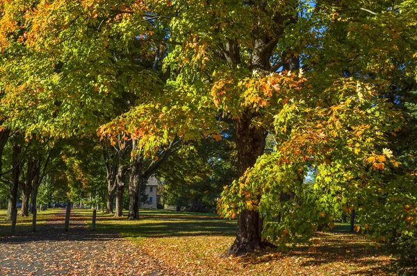 Cruce de otoño en Washington —  Fotos de Stock