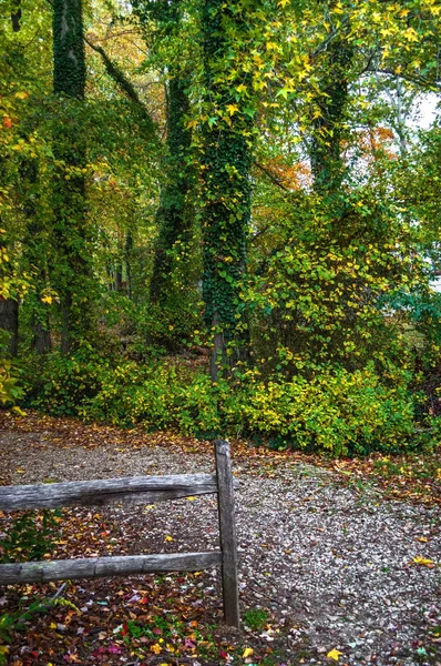 Park Entrance — Stock Photo, Image