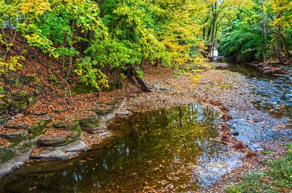 Höstens creek — Stockfoto