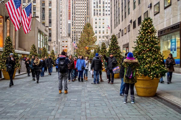 Seeing the Tree — Stock Photo, Image