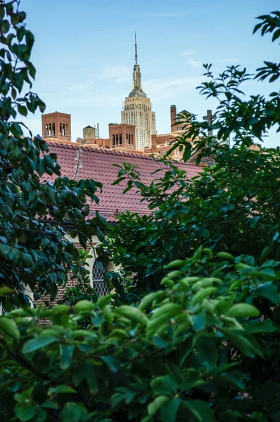 New York naturale — Foto Stock