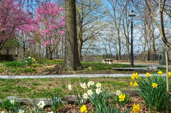 Primavera no parque — Fotografia de Stock