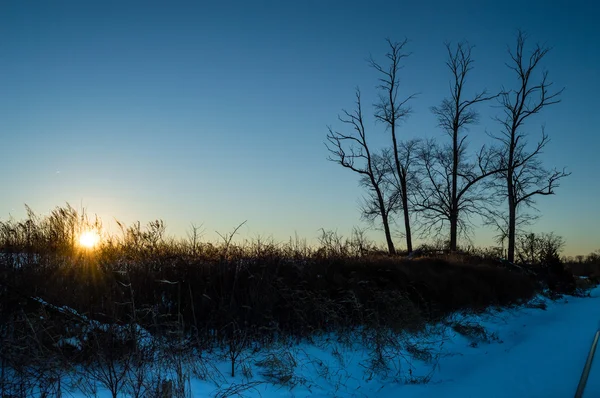 Blauwe winters tafereel — Stockfoto