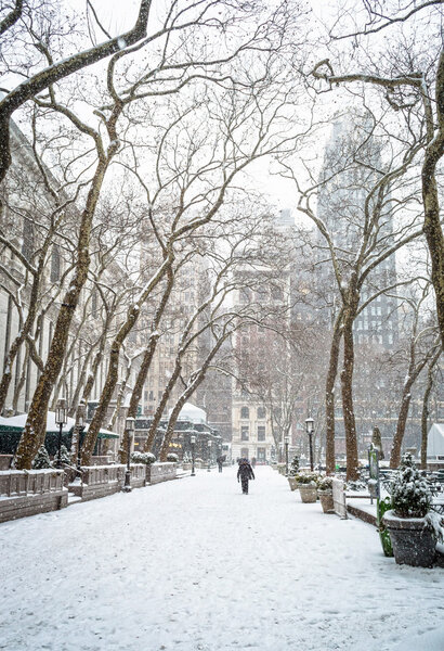Heavy snowfall in Bryant Park in New York City.