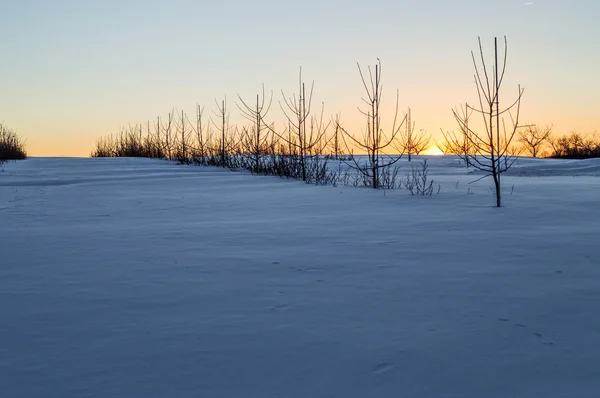 Winterlandschap — Stockfoto