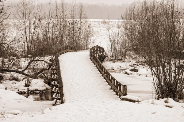 Снежный мост — стоковое фото