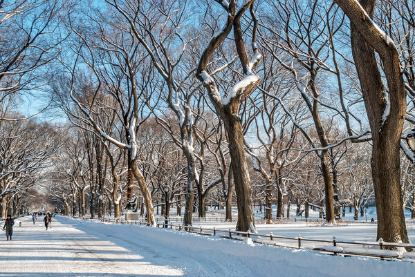 Winter scene on The Mall in Central Park.