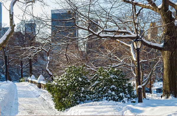 Winter snow scene in Central Park.