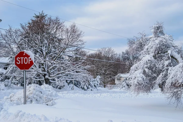 Stora snö — Stockfoto