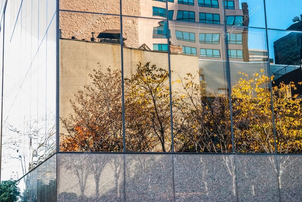 Modern glass building with reflections of trees