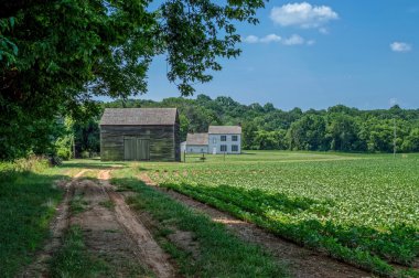 Bu eski evlerini bir toprak yol açar