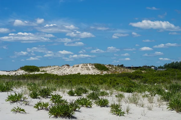 Natural Beach Landscape — Stock Photo, Image