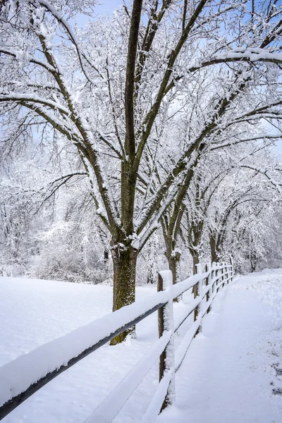 Bahar kar — Stok fotoğraf