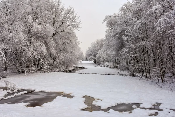 Schneebedecktes Feld — Stockfoto