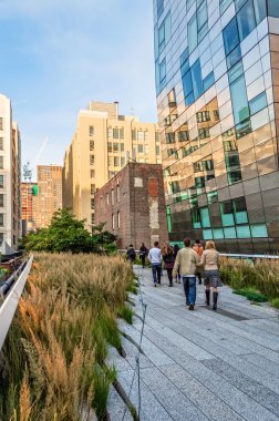 Highline boyunca bitkiler