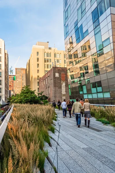 Рослин уздовж на Highline — стокове фото