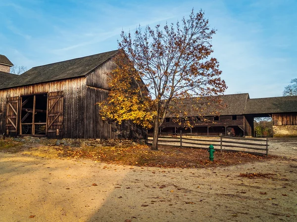 Last Touch of Fall — Stock Photo, Image