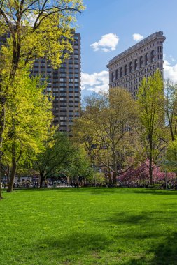 Spring Madison Parkı