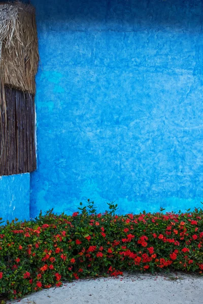 Färgglada blå vägg med tropiska blommor — Stockfoto