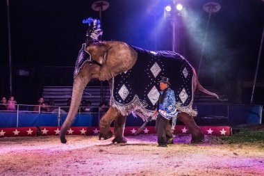 Circus Elephant and trainer