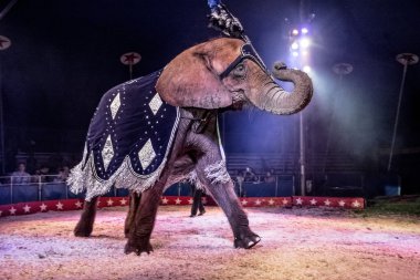 Dancing Elephant in costume