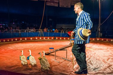 Marching Geese and animal trainer