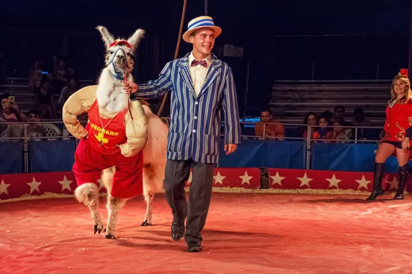 the Kelly Miller Circus