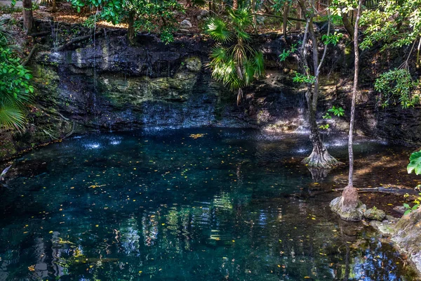 Cenote muur — Stockfoto