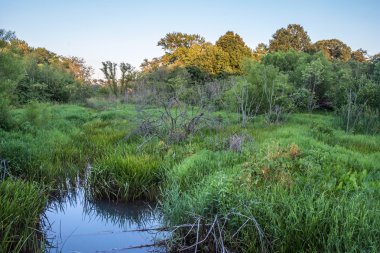 New Jersey Sulak Alanı