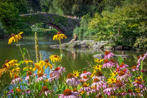 夏美中央公園 — ストック写真