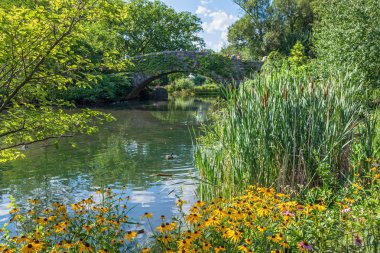 Taş köprü görünümü