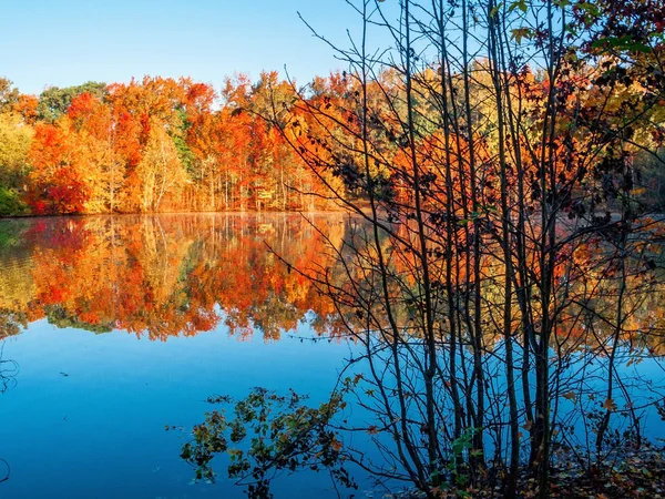 Autumn contrast scene — Stock Photo, Image