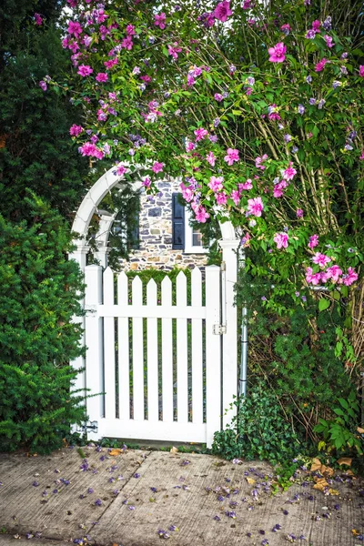 Witte poort — Stockfoto