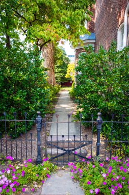 Summer Walkway