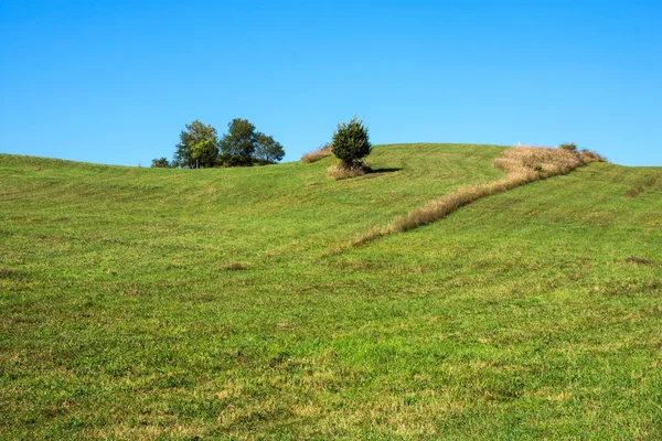 Verde paisagem de verão — Fotografia de Stock