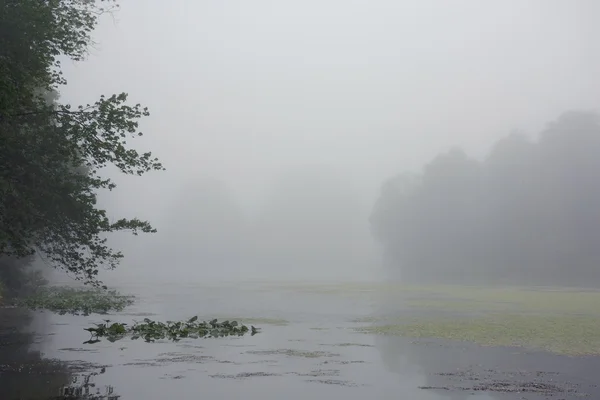 Névoa densa no lago — Fotografia de Stock