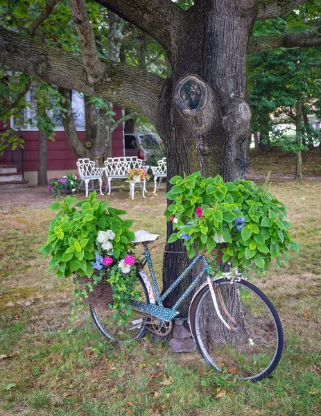 駐車中の自転車 — ストック写真