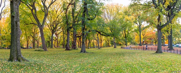 Central Park panorama — Stock fotografie