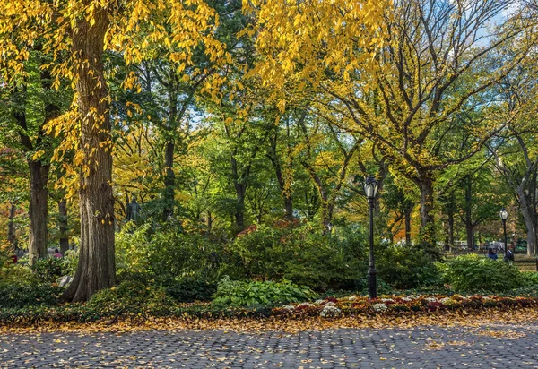 Central Park kleuren — Stockfoto