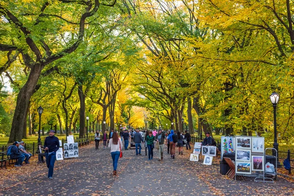 Fall in the Park — Stock Photo, Image
